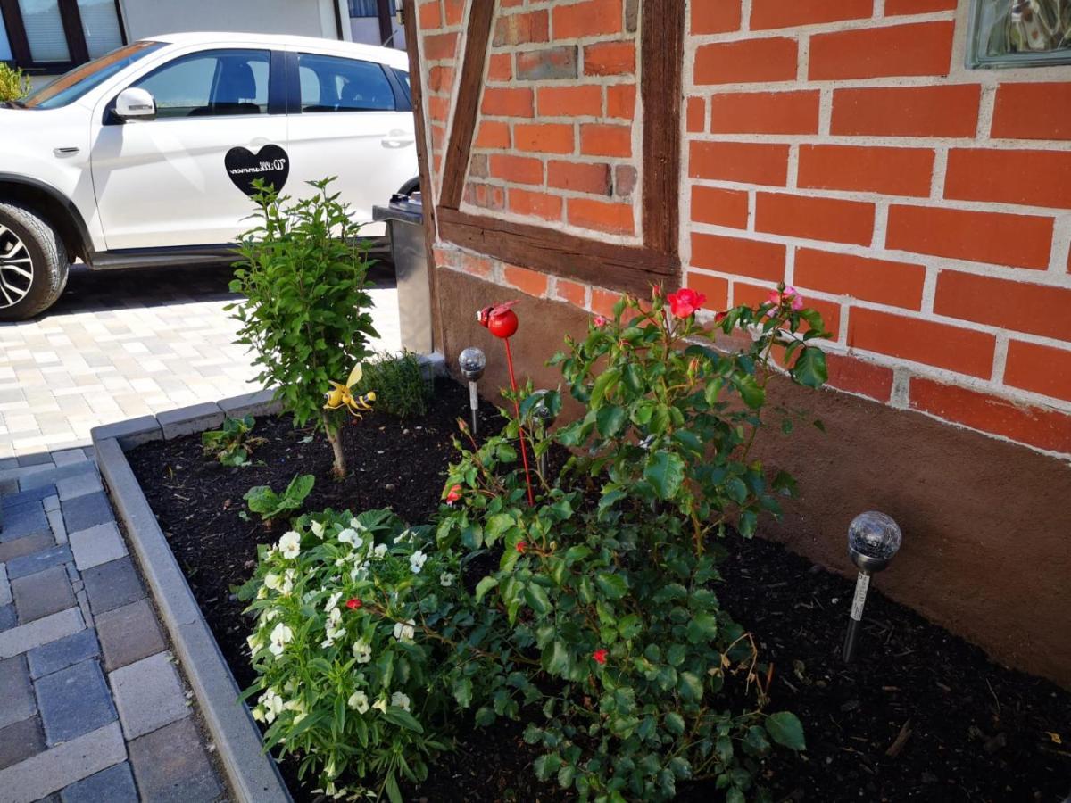 Ferienhaus Blaue Blume mit 11 kW Ladestation, Kamin, Terrasse, eingezäuntem Garten, WLAN, Netflix, Hunde willkommen! Güntersberge Exterior foto