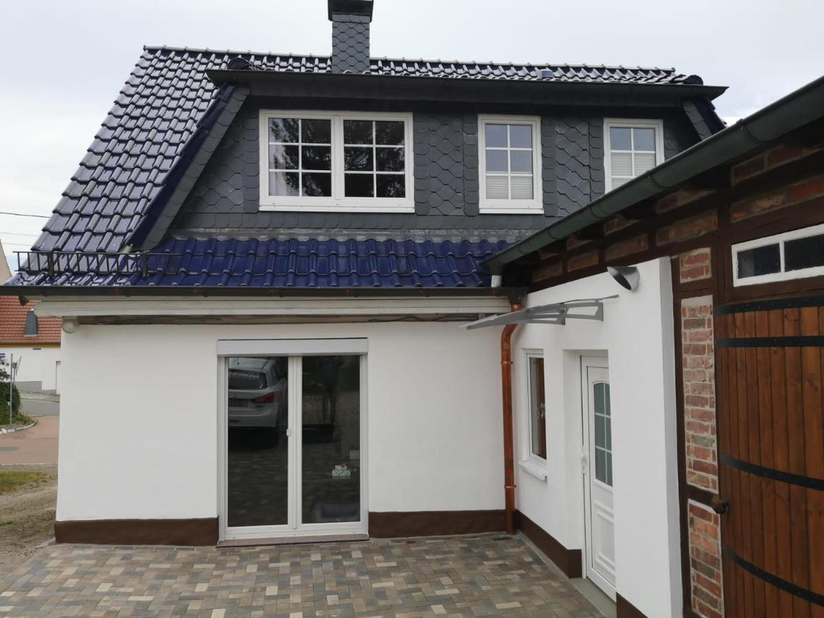 Ferienhaus Blaue Blume mit 11 kW Ladestation, Kamin, Terrasse, eingezäuntem Garten, WLAN, Netflix, Hunde willkommen! Güntersberge Exterior foto