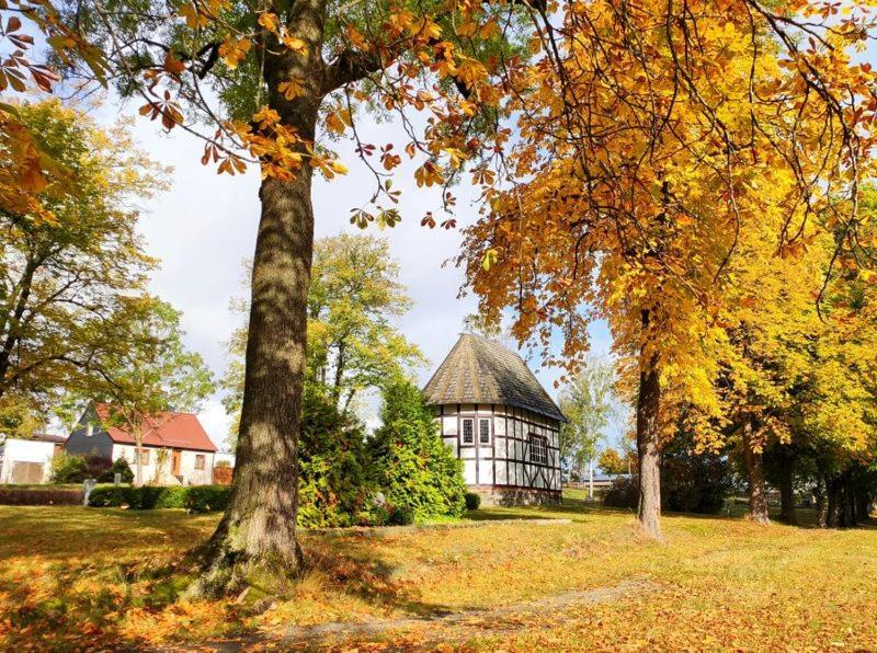 Ferienhaus Blaue Blume mit 11 kW Ladestation, Kamin, Terrasse, eingezäuntem Garten, WLAN, Netflix, Hunde willkommen! Güntersberge Exterior foto